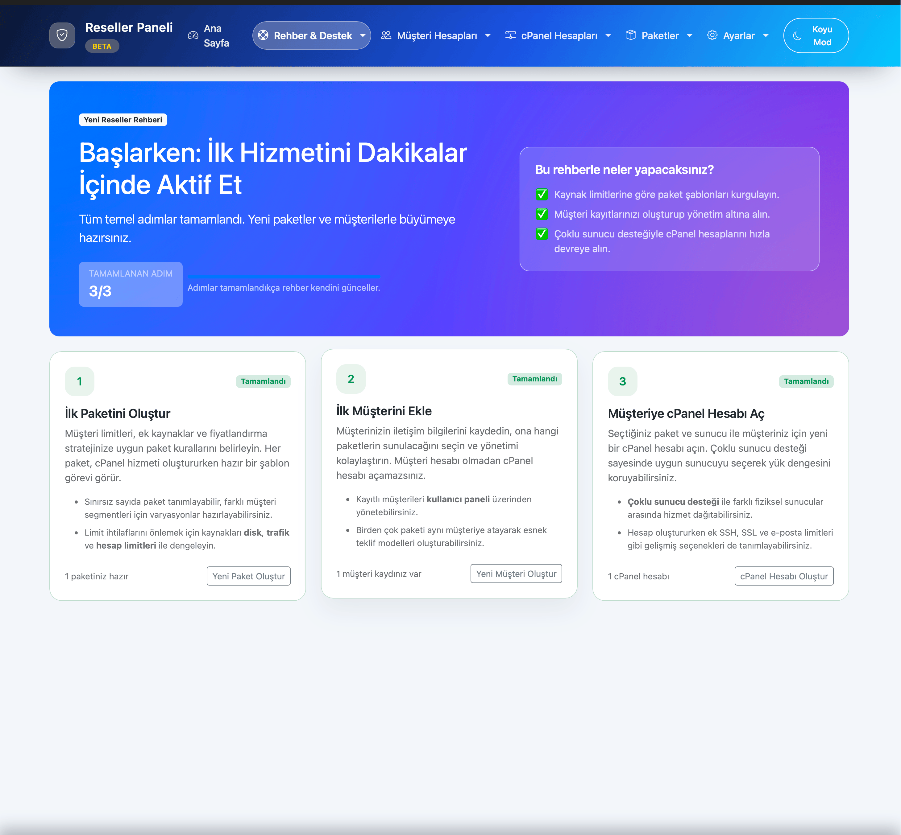 Modern rPanel arayüzü